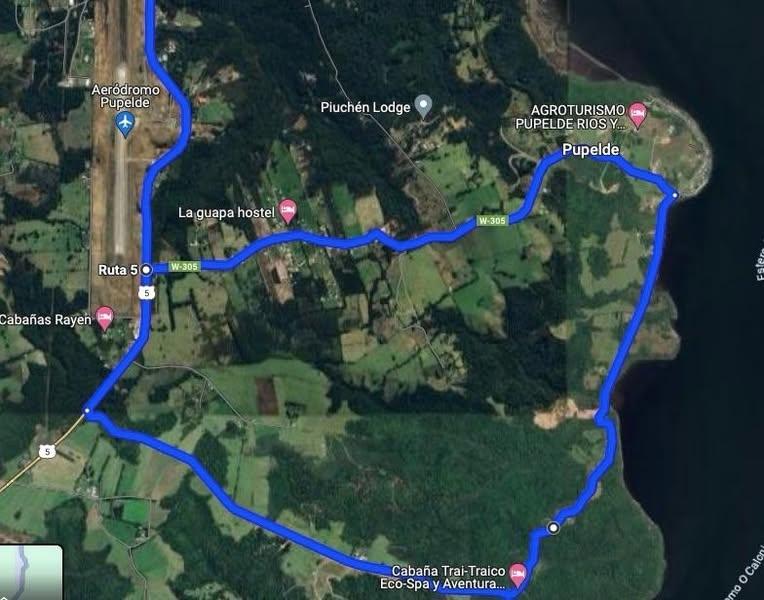 Vegetación nativa cercana