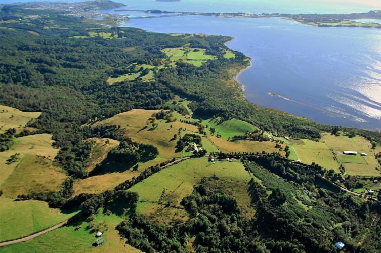 Vista amplia del terreno